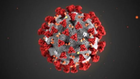 Four new COVID-19 cases confirmed